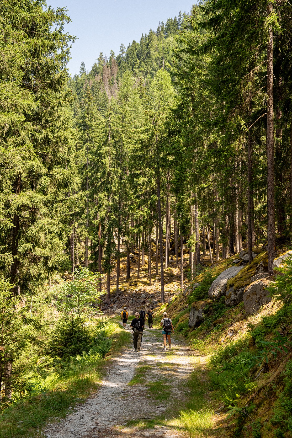 ACTIVATING ENVIRONMENTAL CONSCIOUSNESS WITH LUCE CHOULES